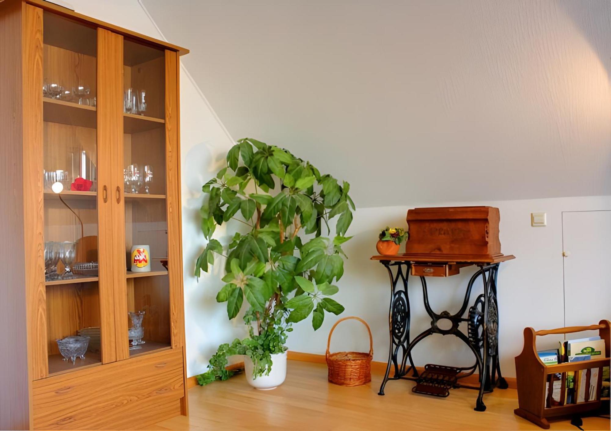 BreisachHaus Wehrleアパートメント エクステリア 写真